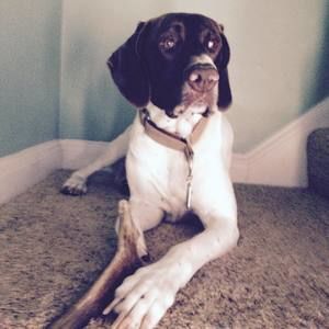 Meet your Posher, Stacey